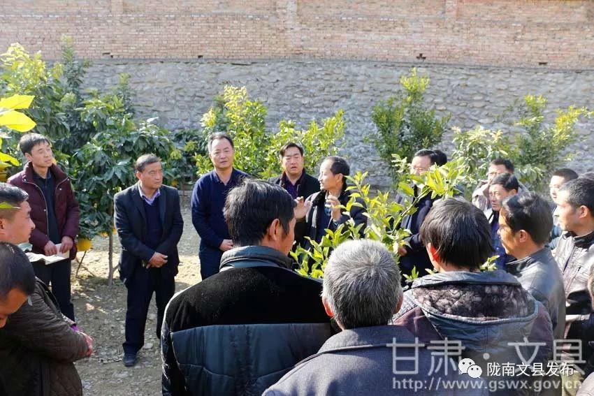 大棚锦鲤池，创新养殖模式与生态循环经济的结合