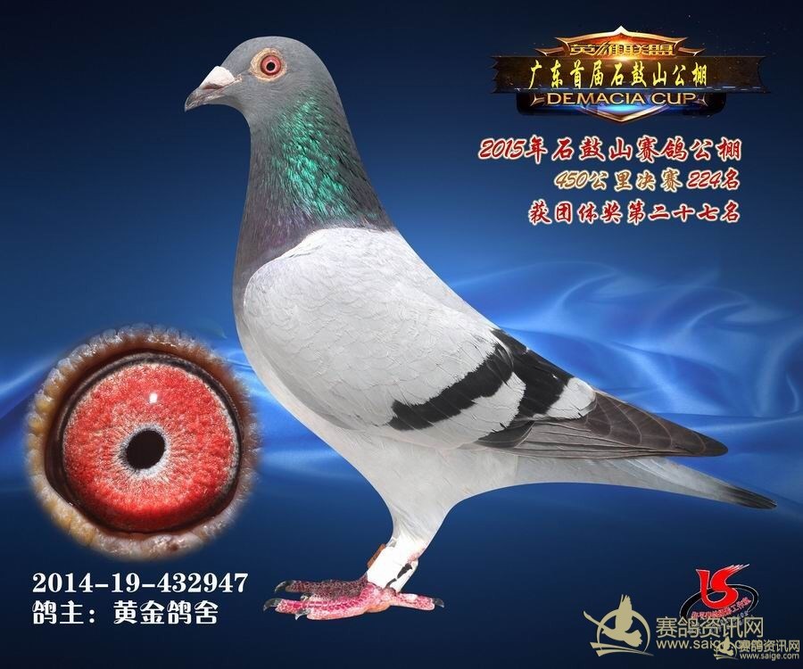 2025年4月 第10页