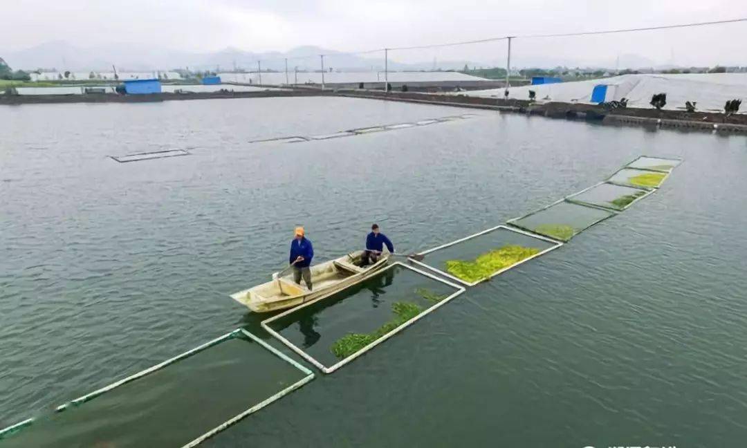水产大棚，现代水产养殖的新趋势