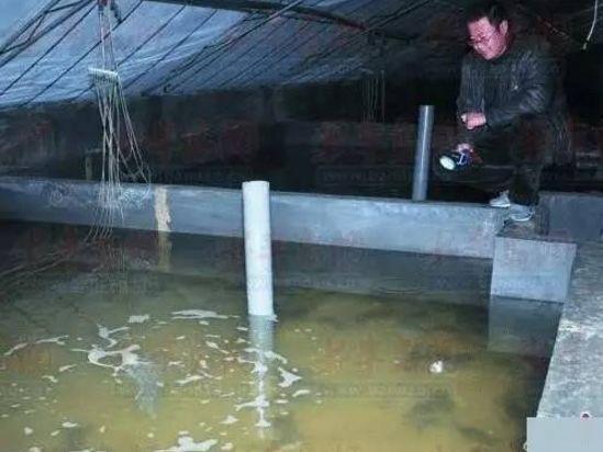 海参育苗大棚，探索内部图片的世界