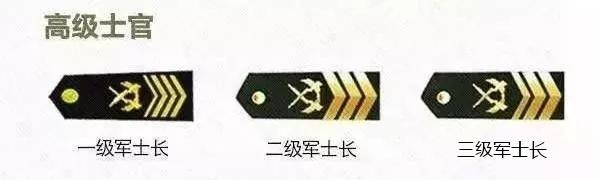 高级士官待遇，现状、挑战与未来展望
