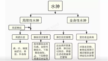 2025年5月3日 第11页