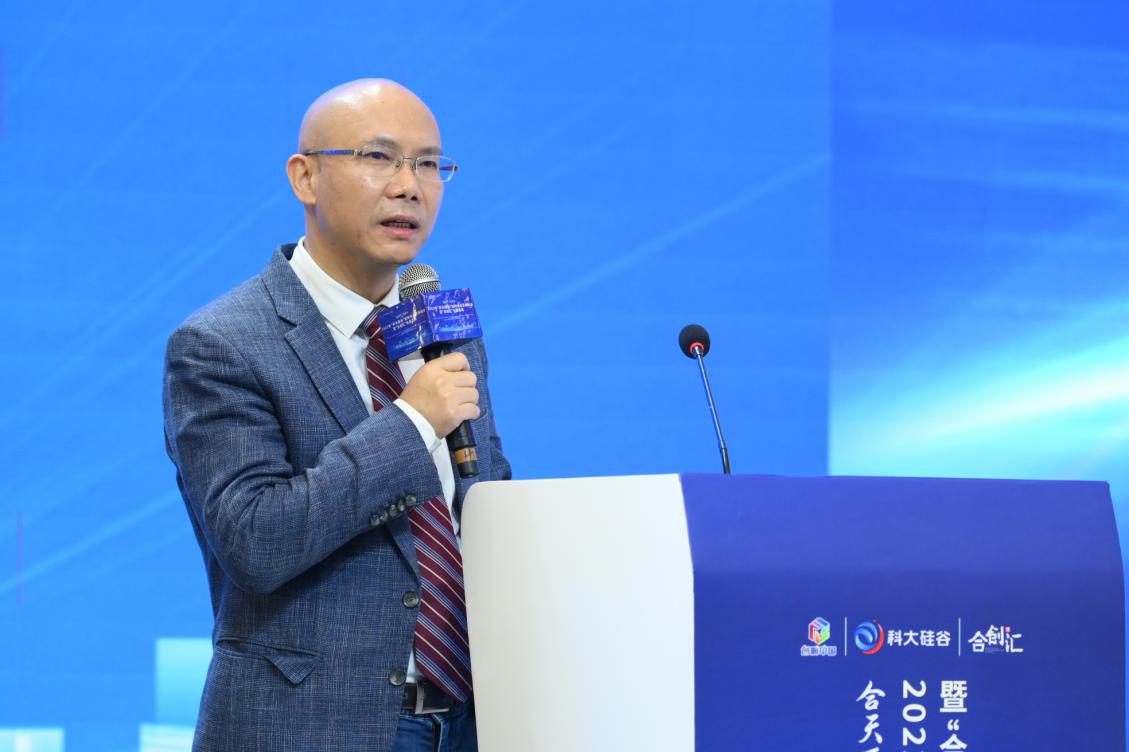 刘纲与深创投，影视产业的融合与创新之路