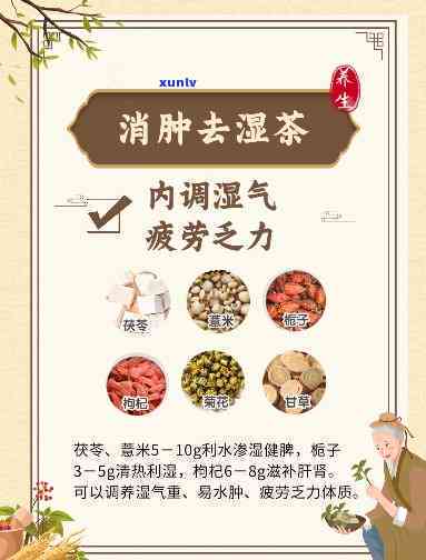 祛湿饮料，健康之道，祛湿的良方