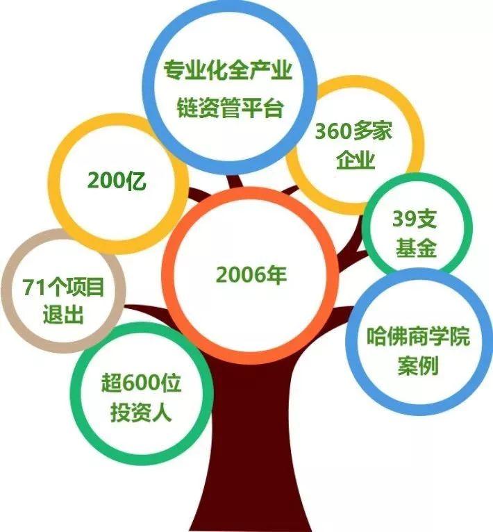 深圳彩虹创投集团，创新与发展的引领者