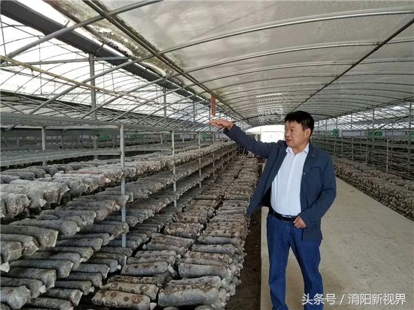 大棚种植小龙虾，创新养殖模式的探索与实践