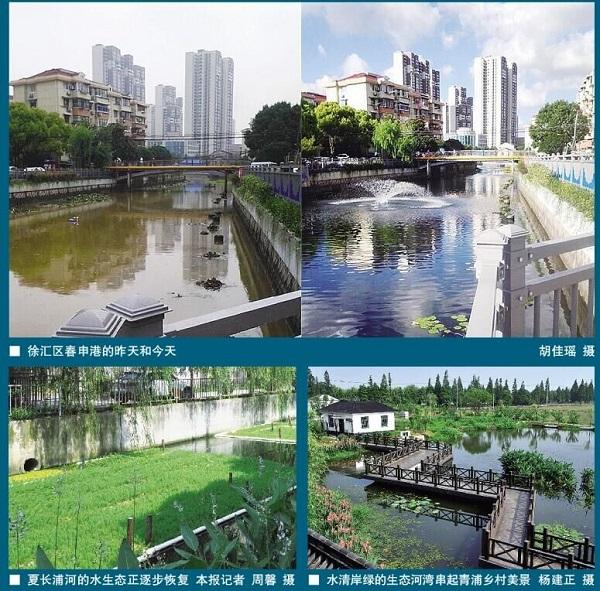 长江水情APP登陆指南
