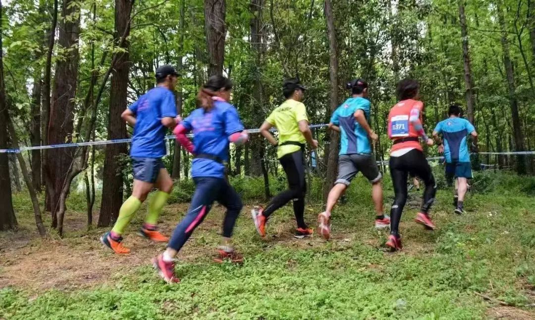 上海越野跑俱乐部，探索城市与自然的无限可能