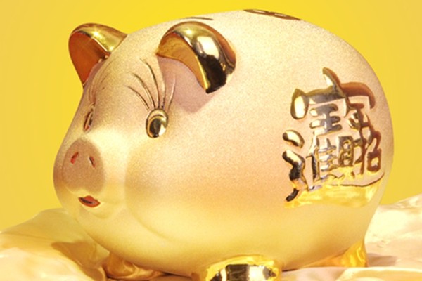 黄金猪的结局，一场命运的圆满与启示