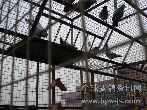 鸽子自动门安装指南
