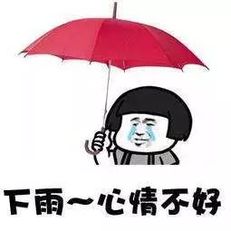 时雨表情包，雨天的乐趣与情感的传递