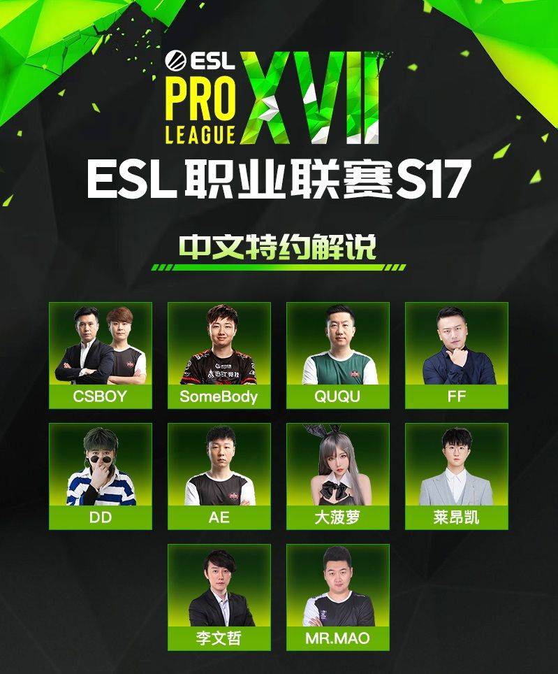 全新的7L战队阵容解析
