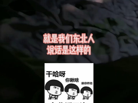 北方剑心表情包，一种独特的文化现象与情感表达