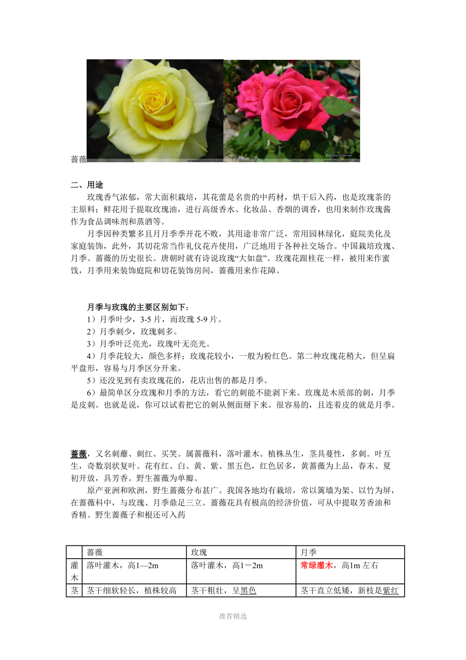 北方蔷薇种植品种探析