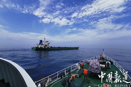 海岛伞兵，守护海洋蓝域的英勇先锋