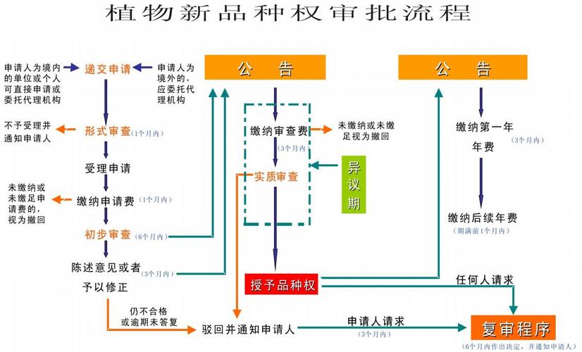 植物新品种权申请期限，探究与解析