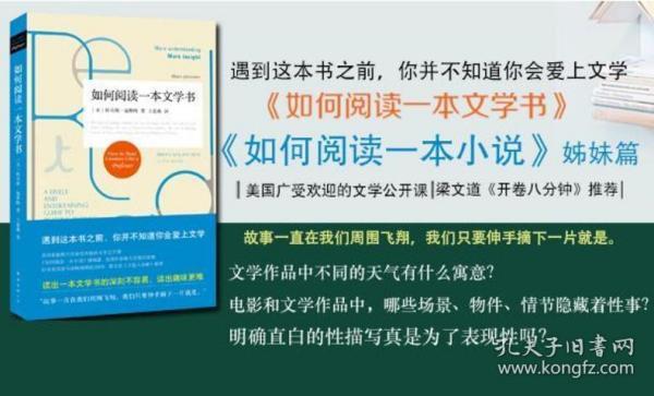 如何阅读一本文学书