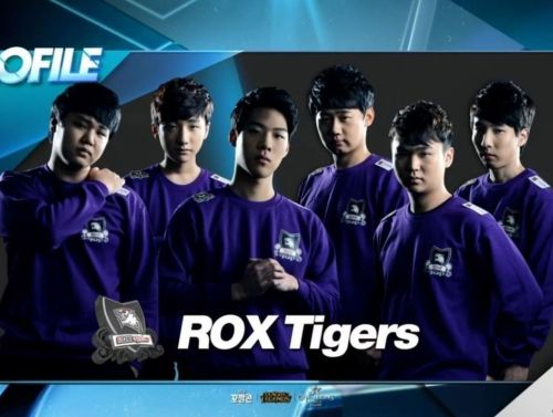 Rock战队全新阵容深度解析