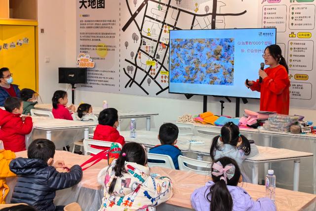 中班美术区域材料的探索与实践