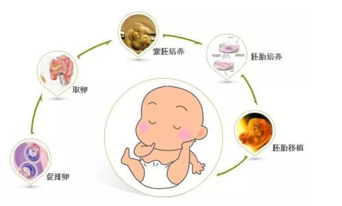 试管婴儿之路，取卵过程的心路历程