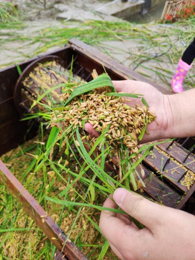 大班美术教学体会，探索与成长