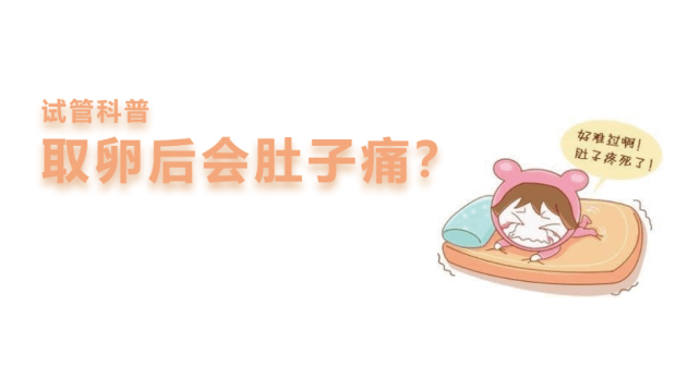 取卵后需要卧床休息几天，术后恢复的重要性及建议