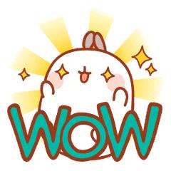 银行消费贷发票的重要性及其相关应用