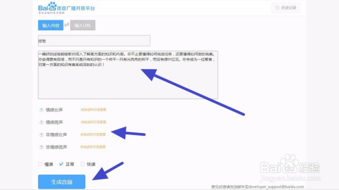 文字转换语音输出，技术革新与未来展望