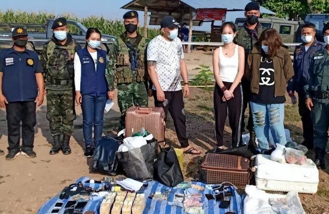赌狗阵容与人口开启策略，游戏策略深度解析