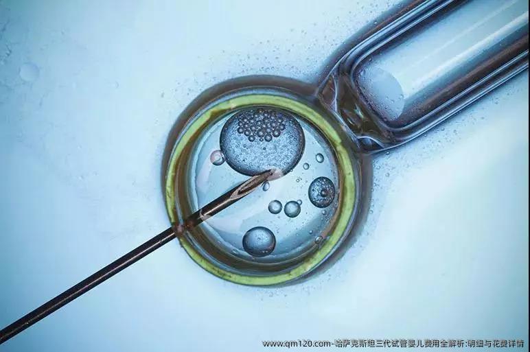 试管取卵获卵率，探究生育技术的新领域