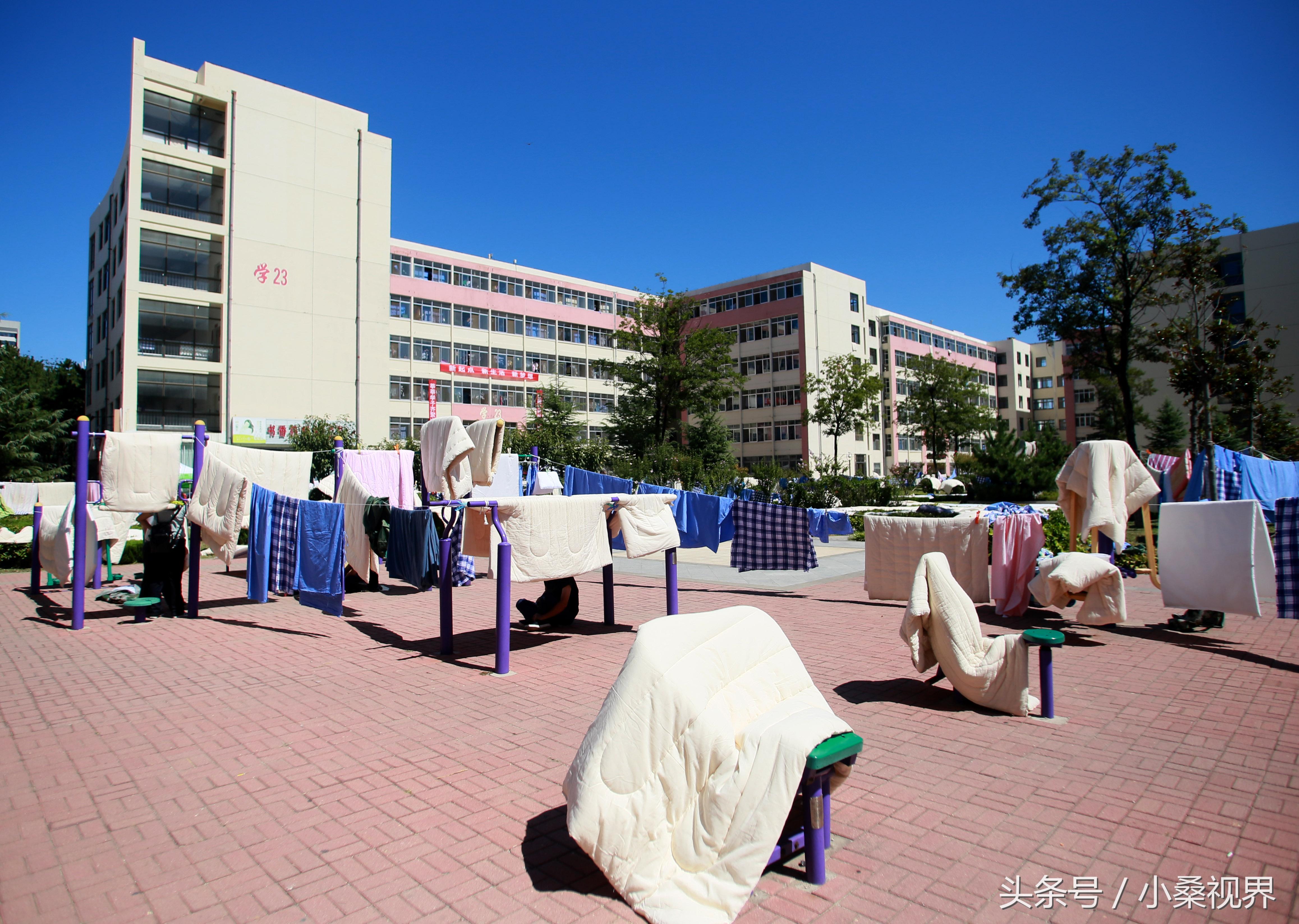 威海健身俱乐部，引领城市健康生活新潮流