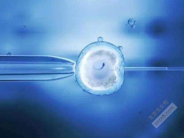关于试管婴儿技术中的降调后多久取卵的探讨