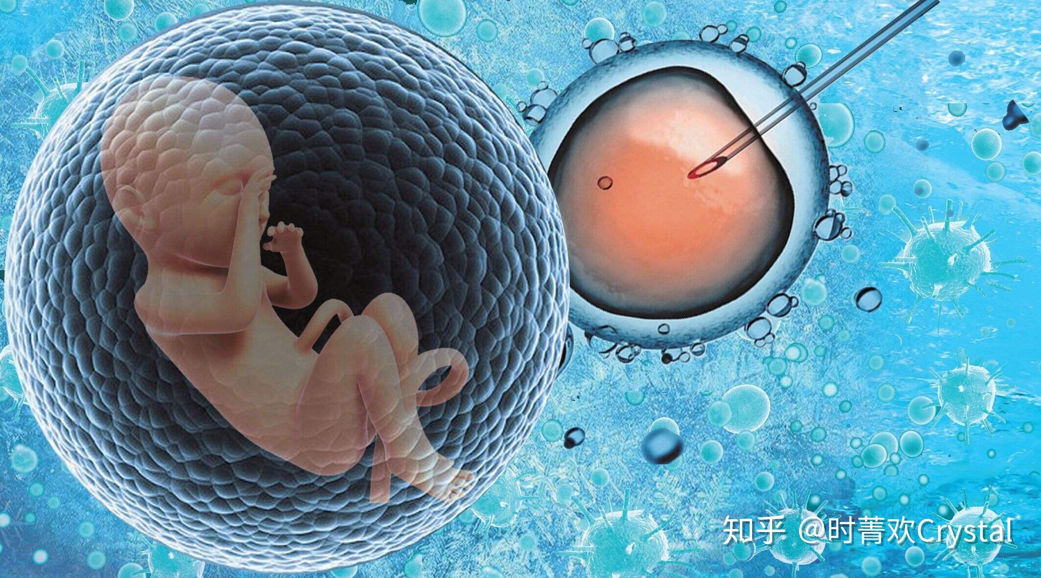 试管取卵后腹水的症状解析
