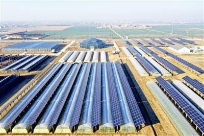 河南允许农光互补文件，开启绿色能源与农业融合新篇章